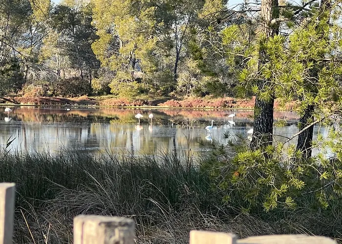 アパート Pour 2 Personnes En Avec Terrasse ラ・ロンド・レ・モール